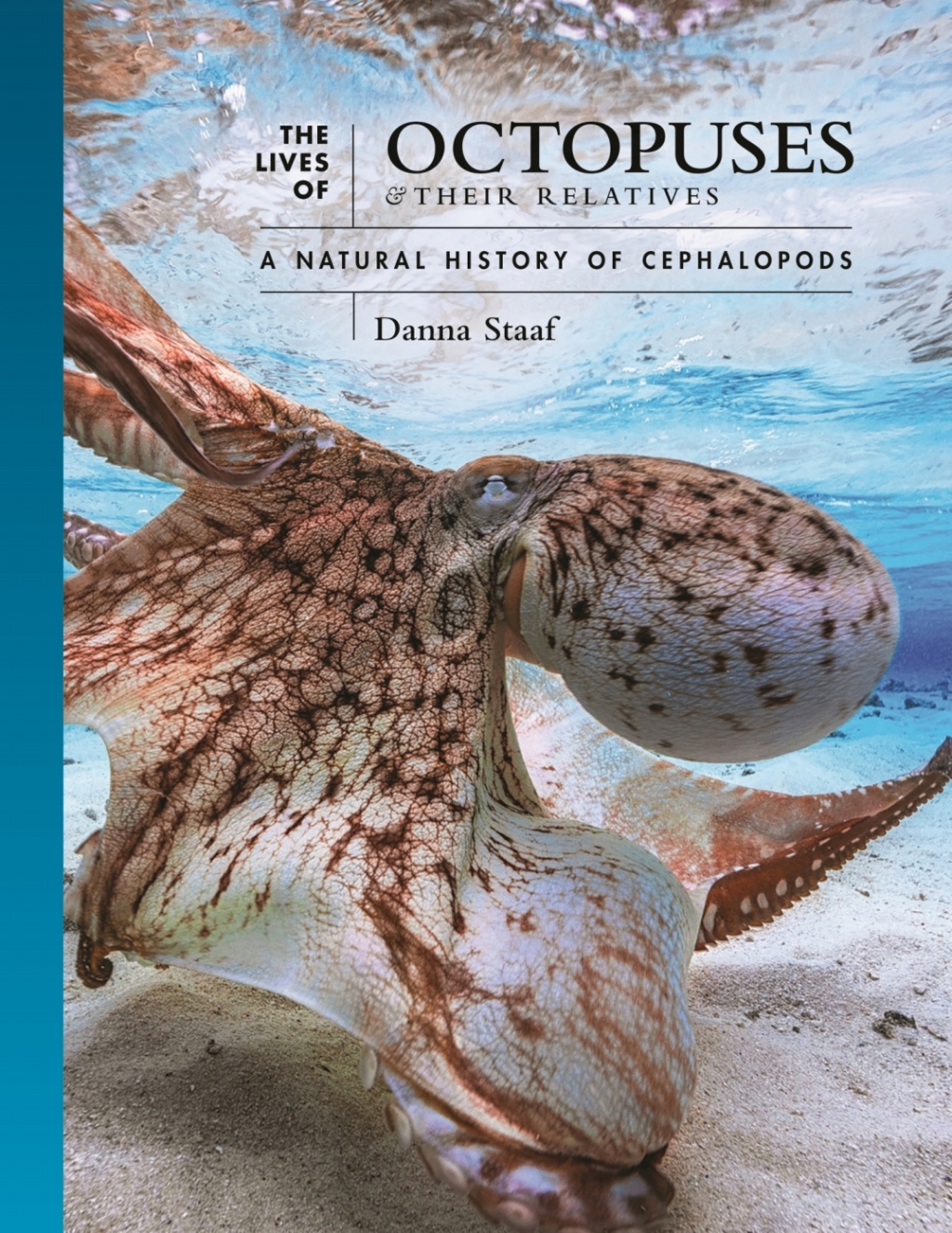 The Lives of Octopuses and Their Relatives A Natural History of Cephalopods - (PDF/EPUB Version)
