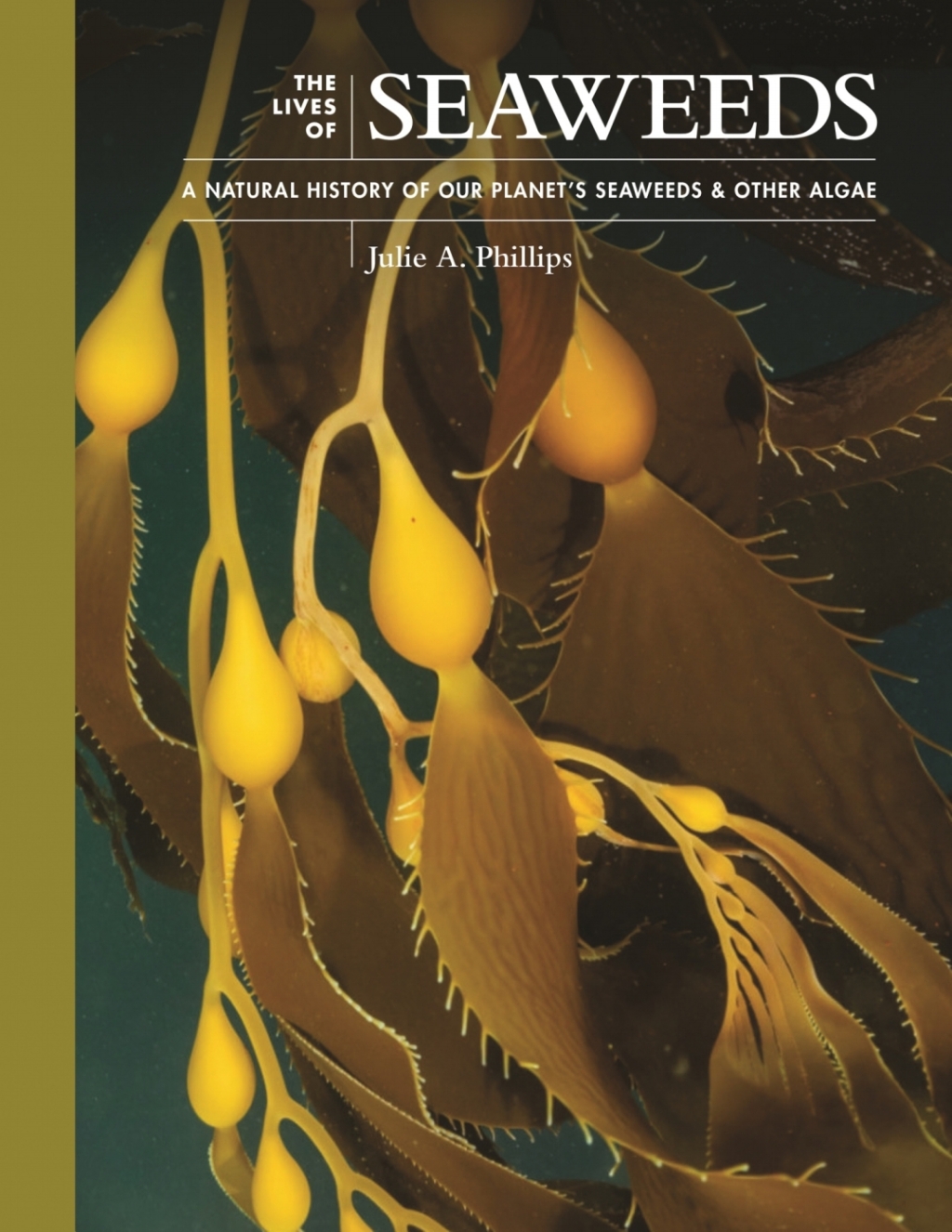 The Lives of Seaweeds A Natural History of Our Planet's Seaweeds and Other Algae - (PDF/EPUB Version)