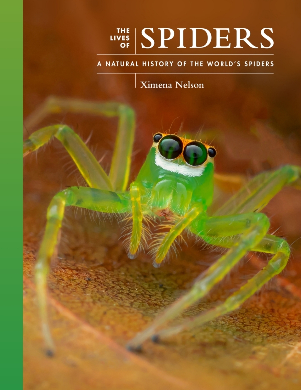 The Lives of Spiders A Natural History of the World's Spiders - (PDF/EPUB Version)