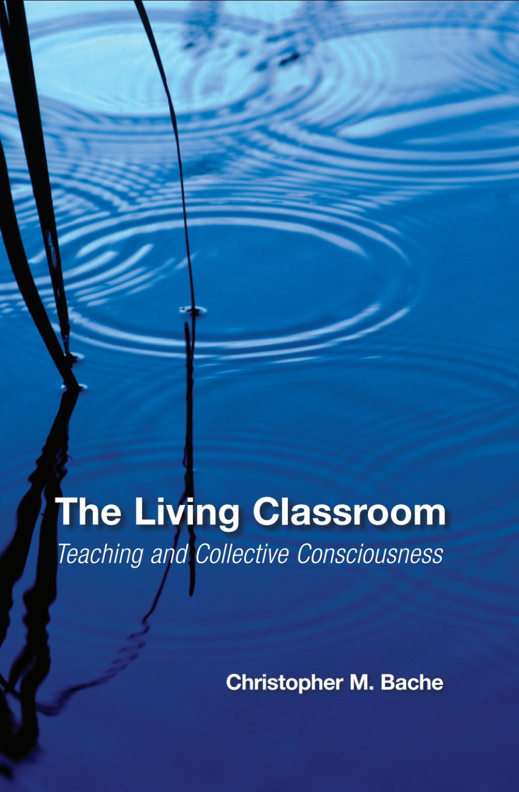 The Living Classroom Teaching and Collective Consciousness - (PDF/EPUB Version)
