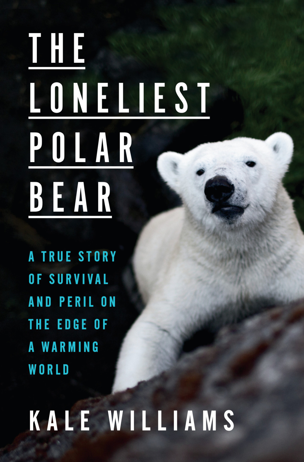 The Loneliest Polar Bear A True Story of Survival and Peril on the Edge of a Warming World - (PDF/EPUB Version)