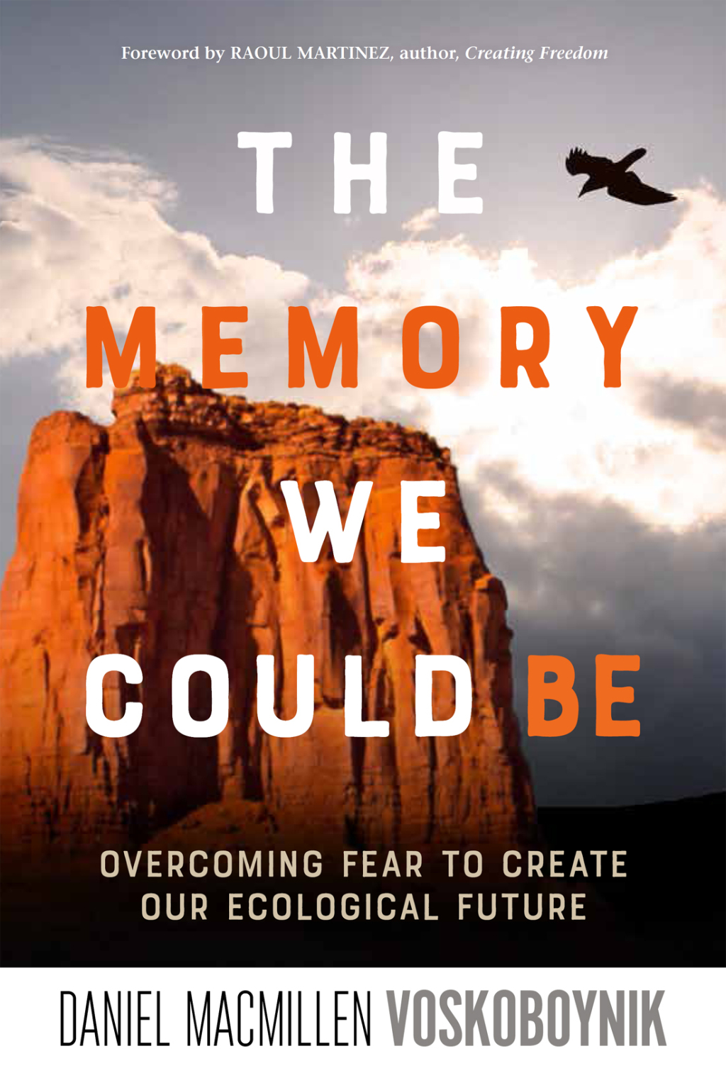 The Memory We Could Be Overcoming Fear to Create Our Ecological Future - (PDF/EPUB Version)