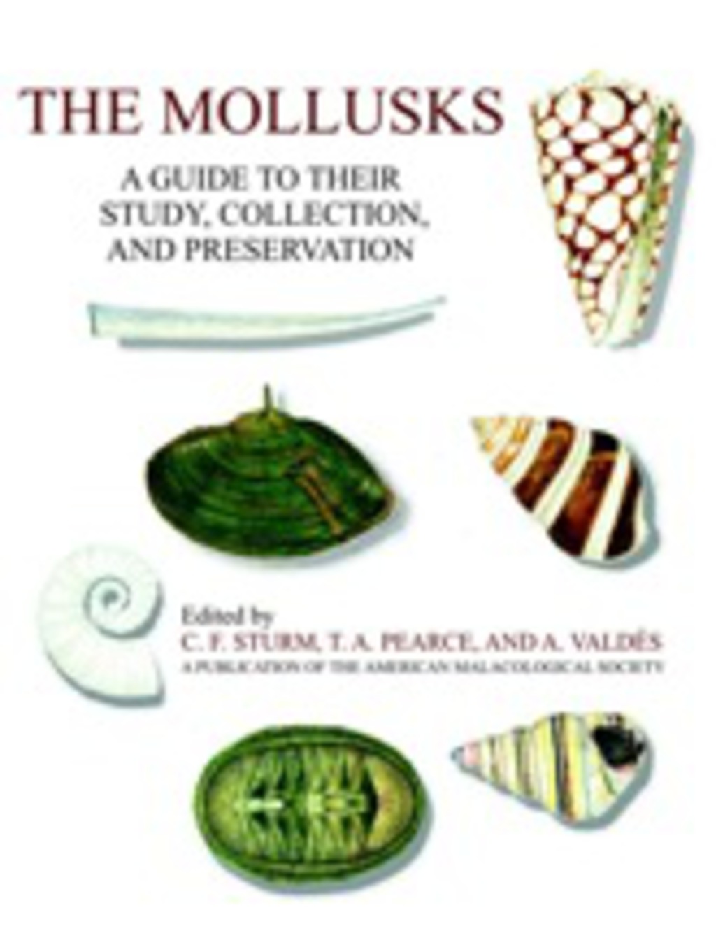 The Mollusks: A Guide to Their Study, Collection, and Preservation - (PDF/EPUB Version)