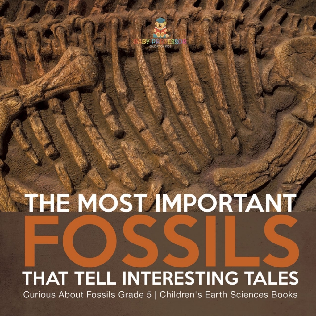 The Most Important Fossils That Tell Interesting Tales | Curious About Fossils Grade 5 | Children's Earth Sciences Books - (PDF/EPUB Version)