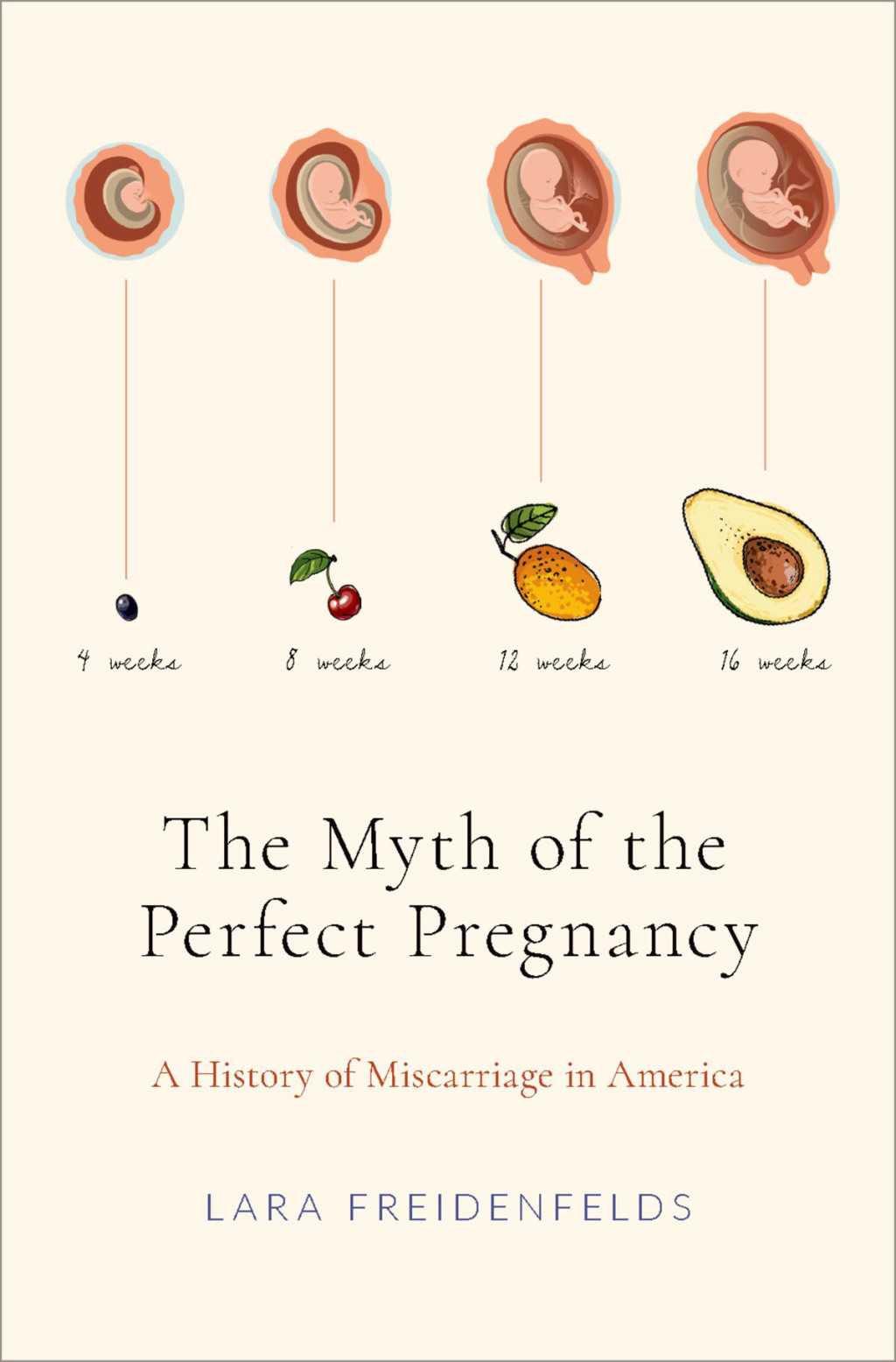 The Myth of the Perfect Pregnancy A History of Miscarriage in America - (PDF/EPUB Version)