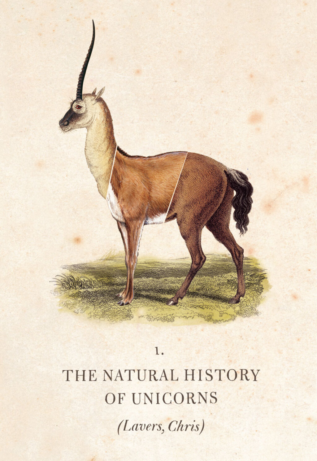 The Natural History of Unicorns - (PDF/EPUB Version)