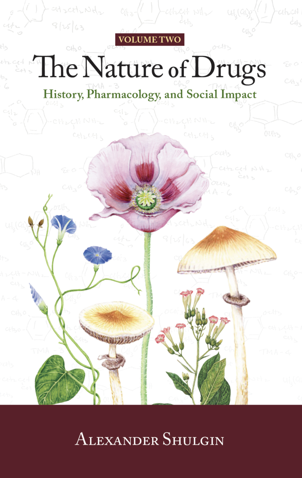 The Nature of Drugs Vol. 2 History, Pharmacology, and Social Impact - (PDF/EPUB Version)