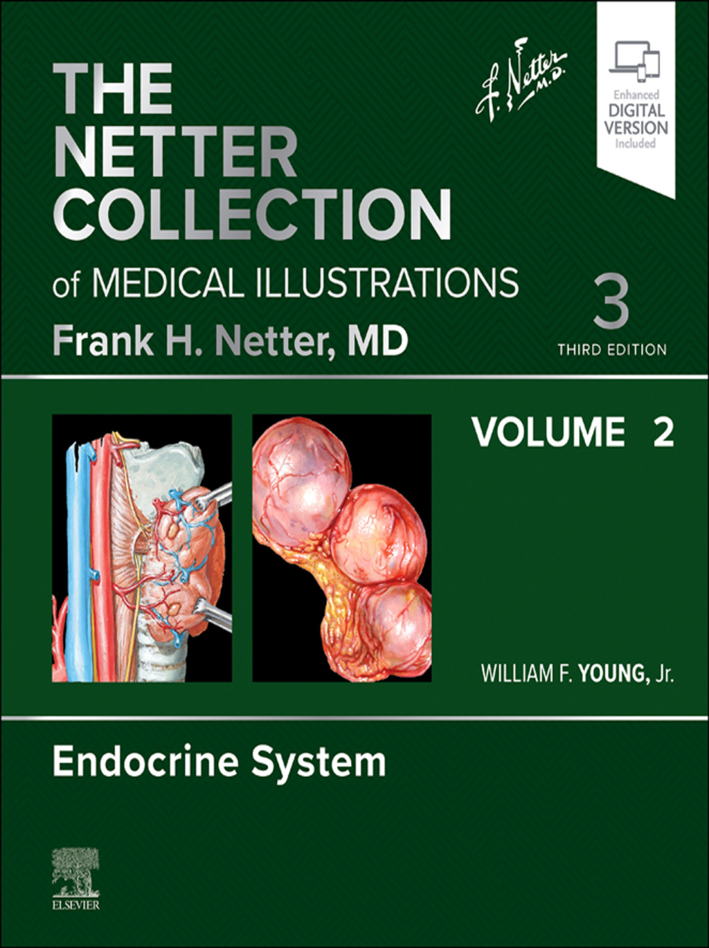The Netter Collection of Medical Illustrations: Endocrine System, Volume 2 3rd Edition â€“ PDF/EPUB Version Downloadable