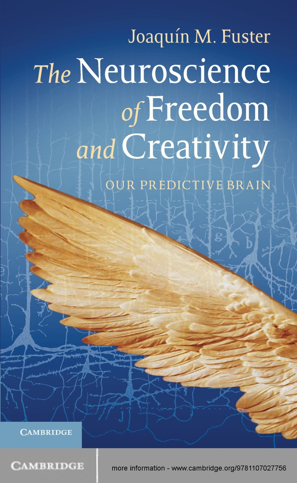 The Neuroscience of Freedom and Creativity Our Predictive Brain 1st Edition - (PDF/EPUB Version)
