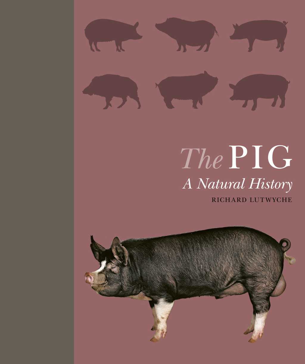 The Pig A Natural History - (PDF/EPUB Version)