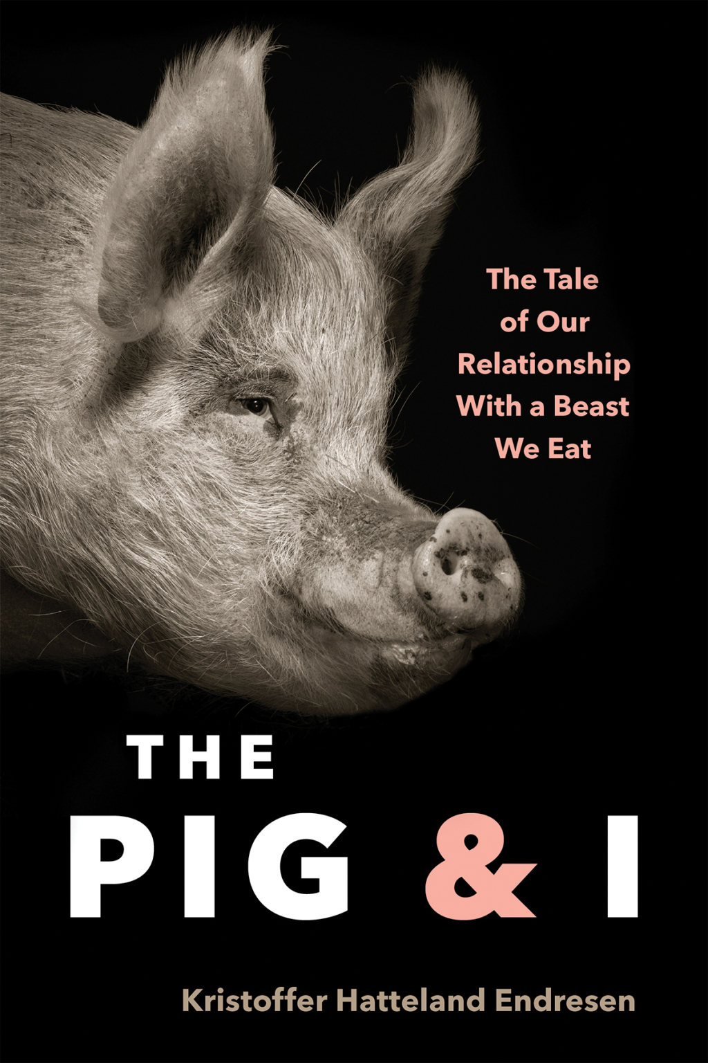 The Pig and I The Tale of Our Relationship With a Beast We Eat - (PDF/EPUB Version)