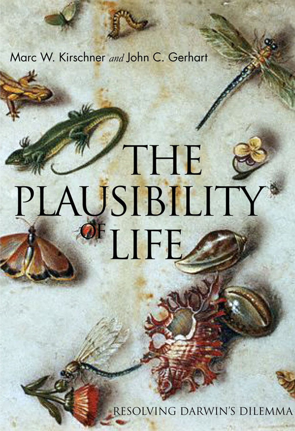 The Plausibility of Life Resolving Darwin's Dilemma - (PDF/EPUB Version)