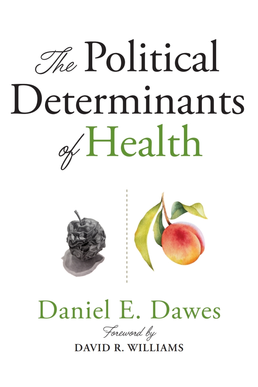 The Political Determinants of Health - (PDF/EPUB Version)