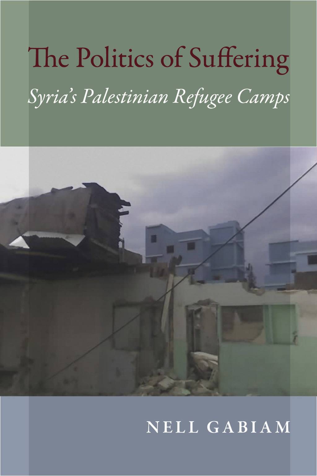 The Politics of Suffering Syria's Palestinian Refugee Camps - (PDF/EPUB Version)