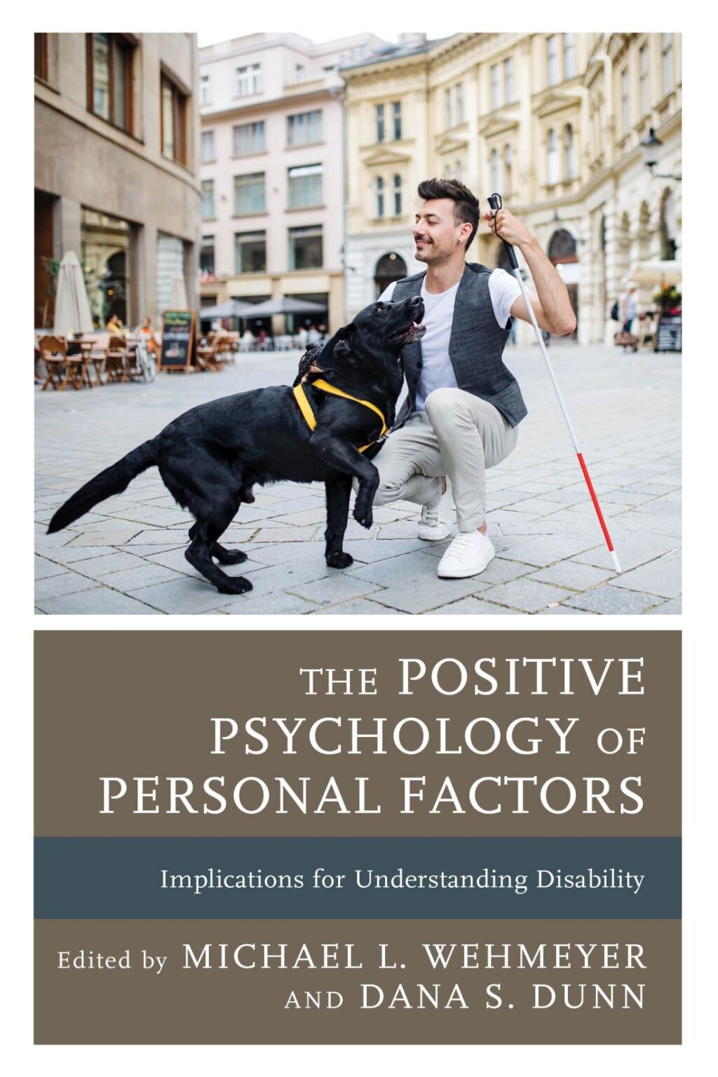 The Positive Psychology of Personal Factors Implications for Understanding Disability - (PDF/EPUB Version)