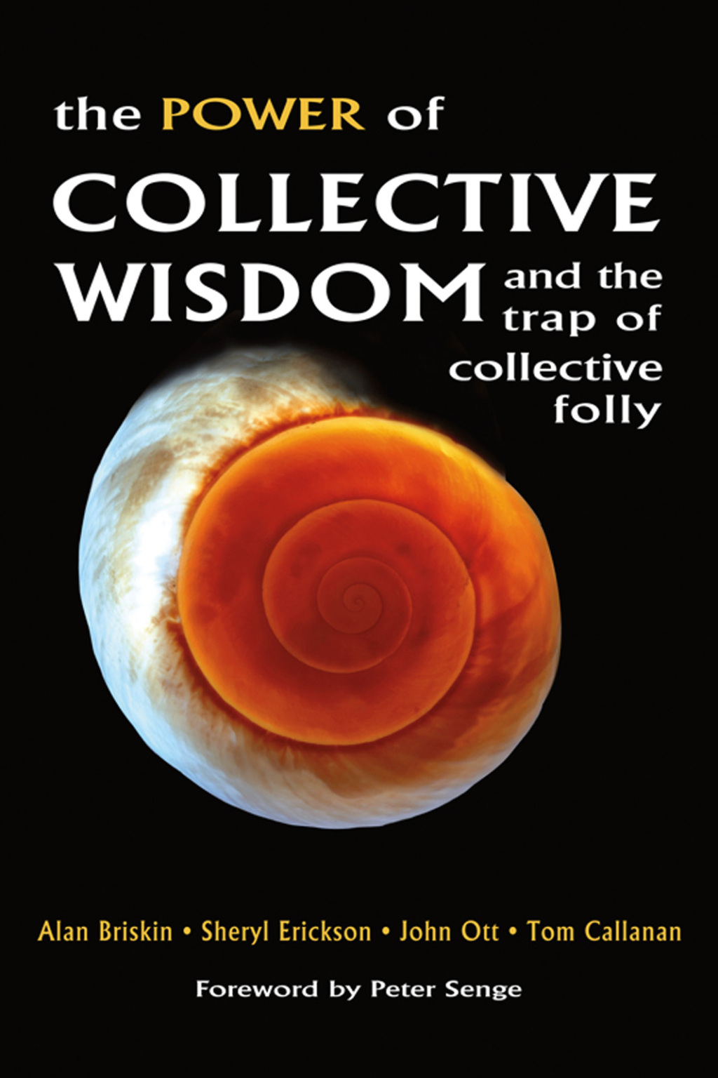The Power of Collective Wisdom And the Trap of Collective Folly - (PDF/EPUB Version)