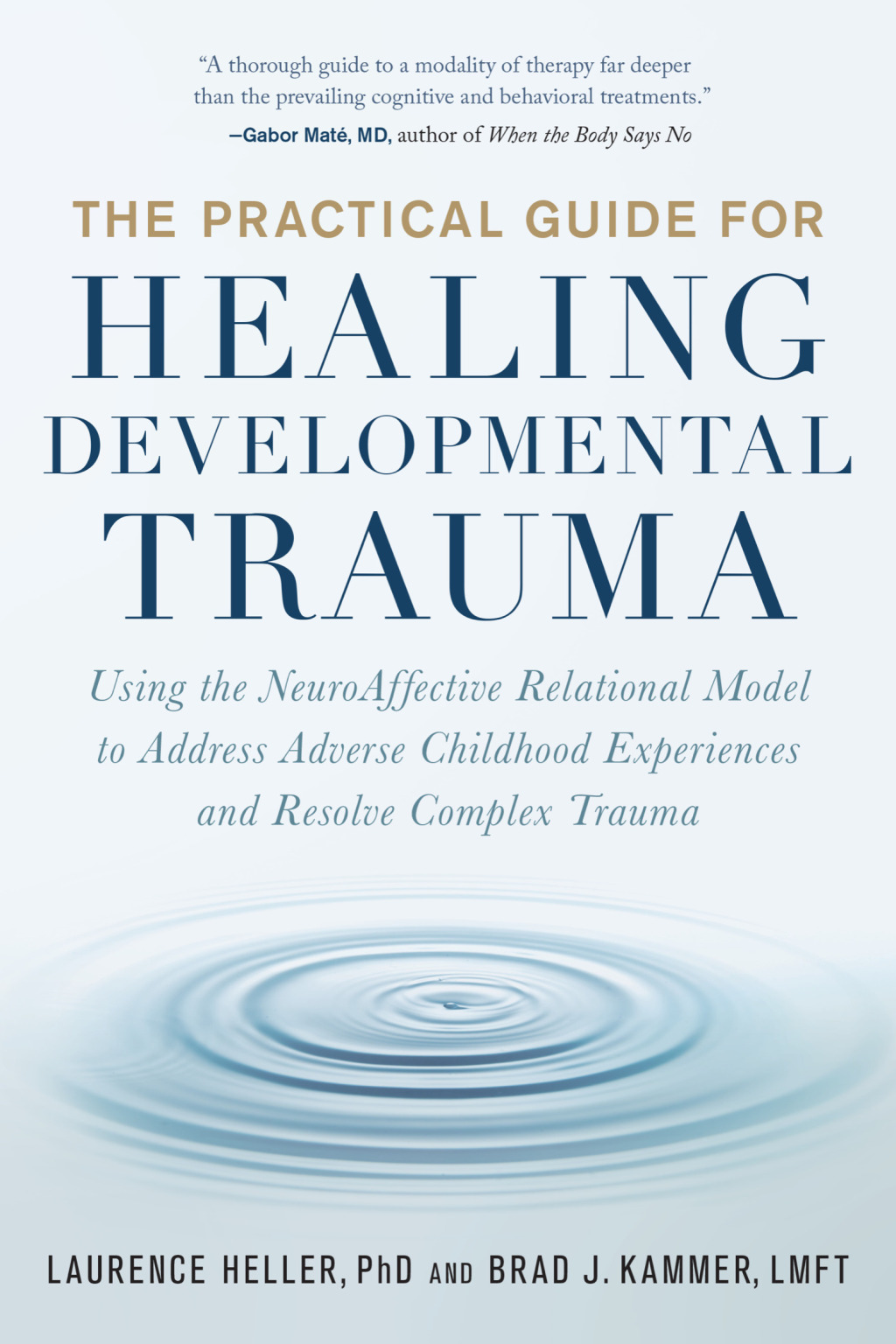 The Practical Guide for Healing Developmental Trauma Using the NeuroAffective Relational Model to Address Adverse Childhood Experiences and Resolve Complex Trauma - (PDF/EPUB Version)