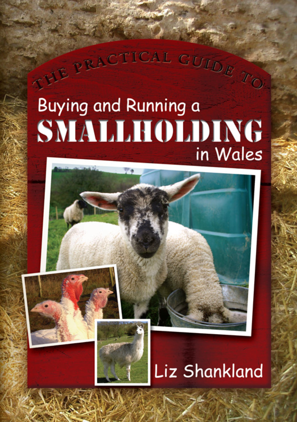 The Practical Guide to Buying and Running a Smallholding in Wales 1st Edition - (PDF/EPUB Version)