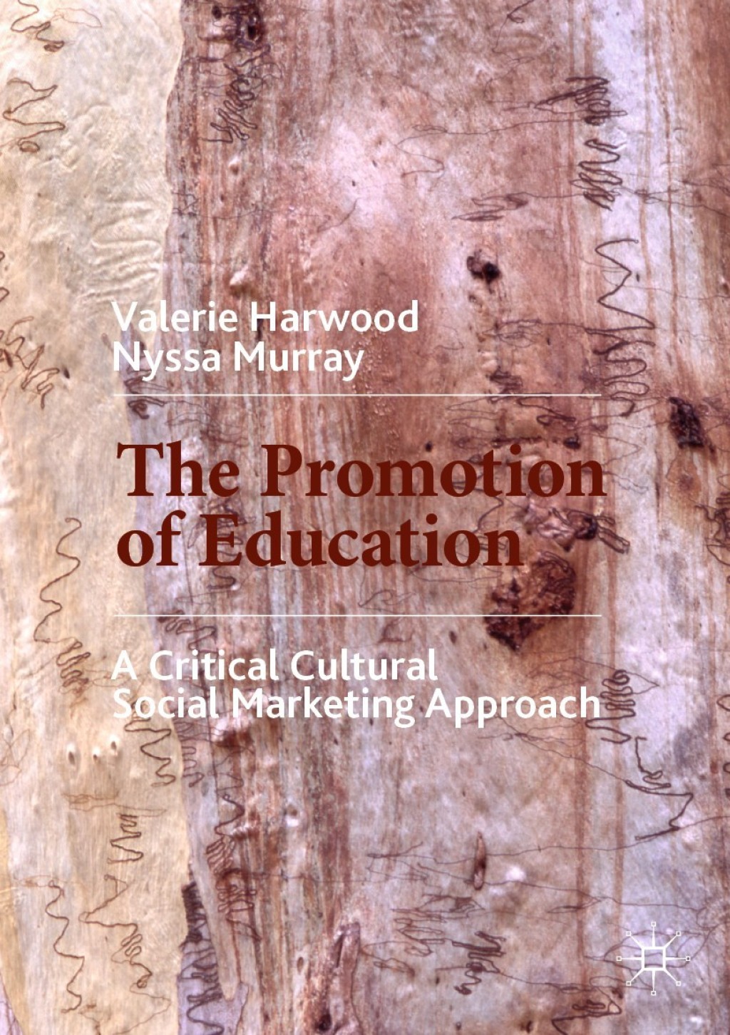 The Promotion of Education A Critical Cultural Social Marketing Approach - (PDF/EPUB Version)