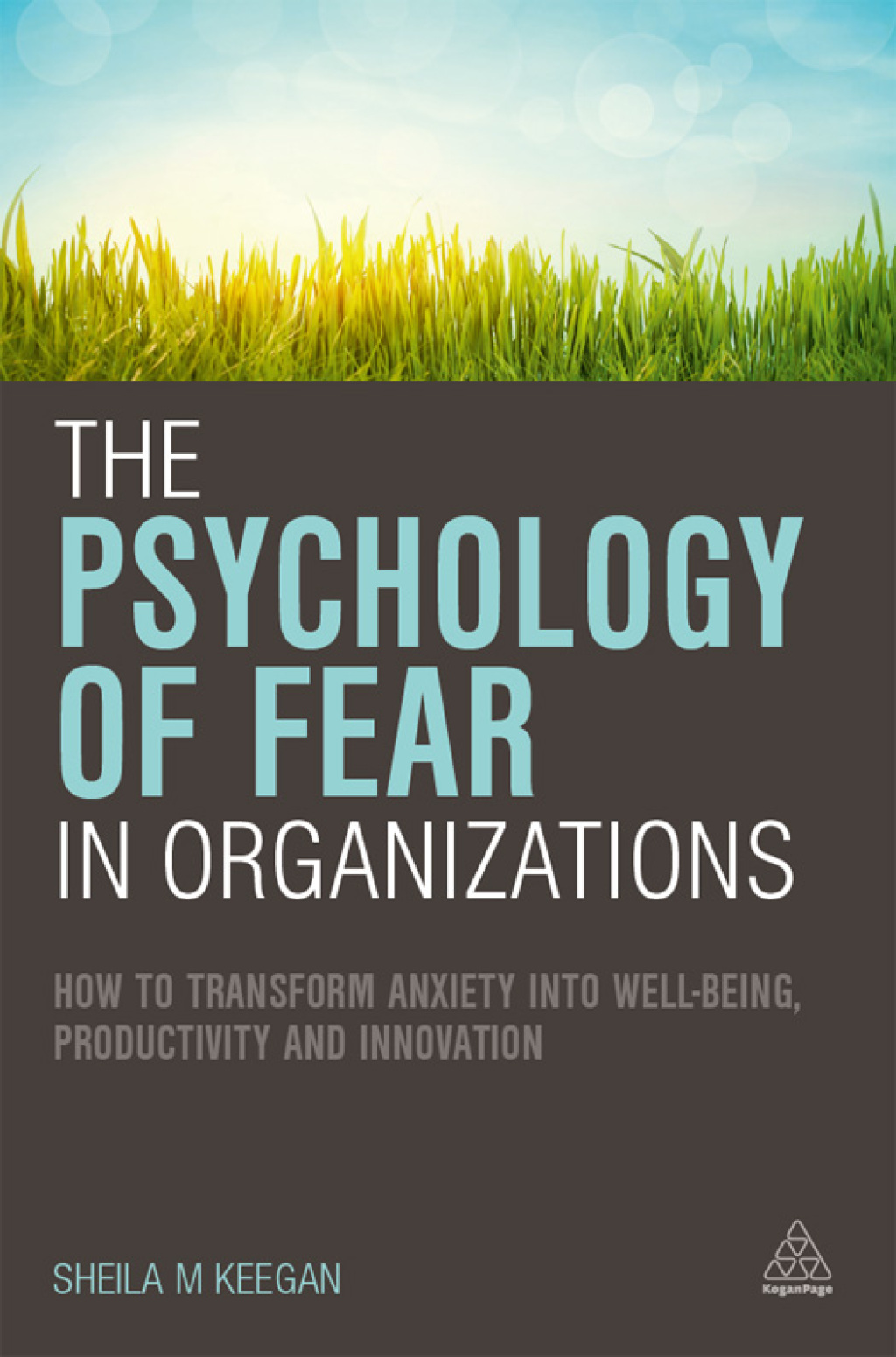 The Psychology of Fear in Organizations How to Transform Anxiety into Well-being, Productivity and Innovation 1st Edition - (PDF/EPUB Version)