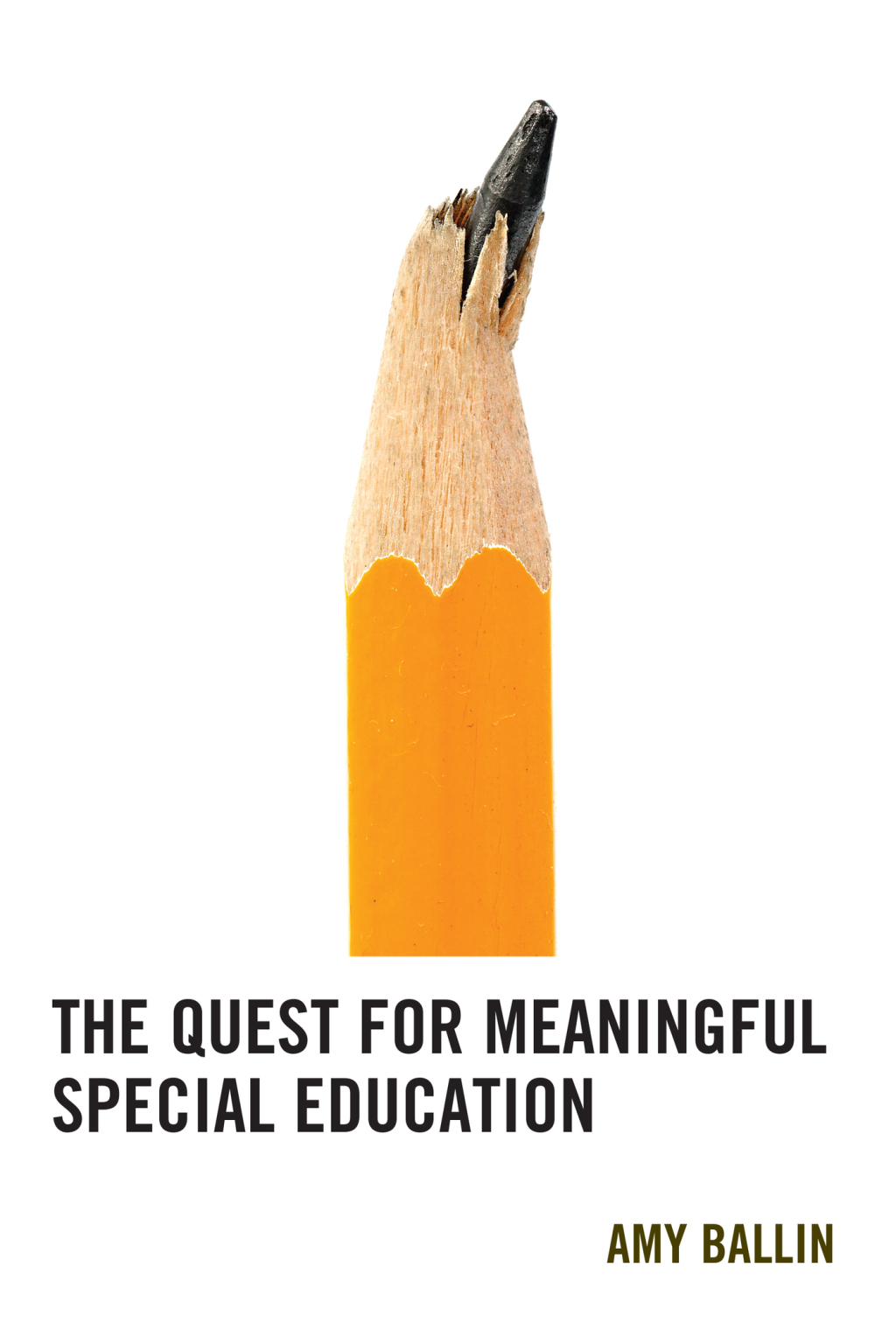 The Quest for Meaningful Special Education - (PDF/EPUB Version)
