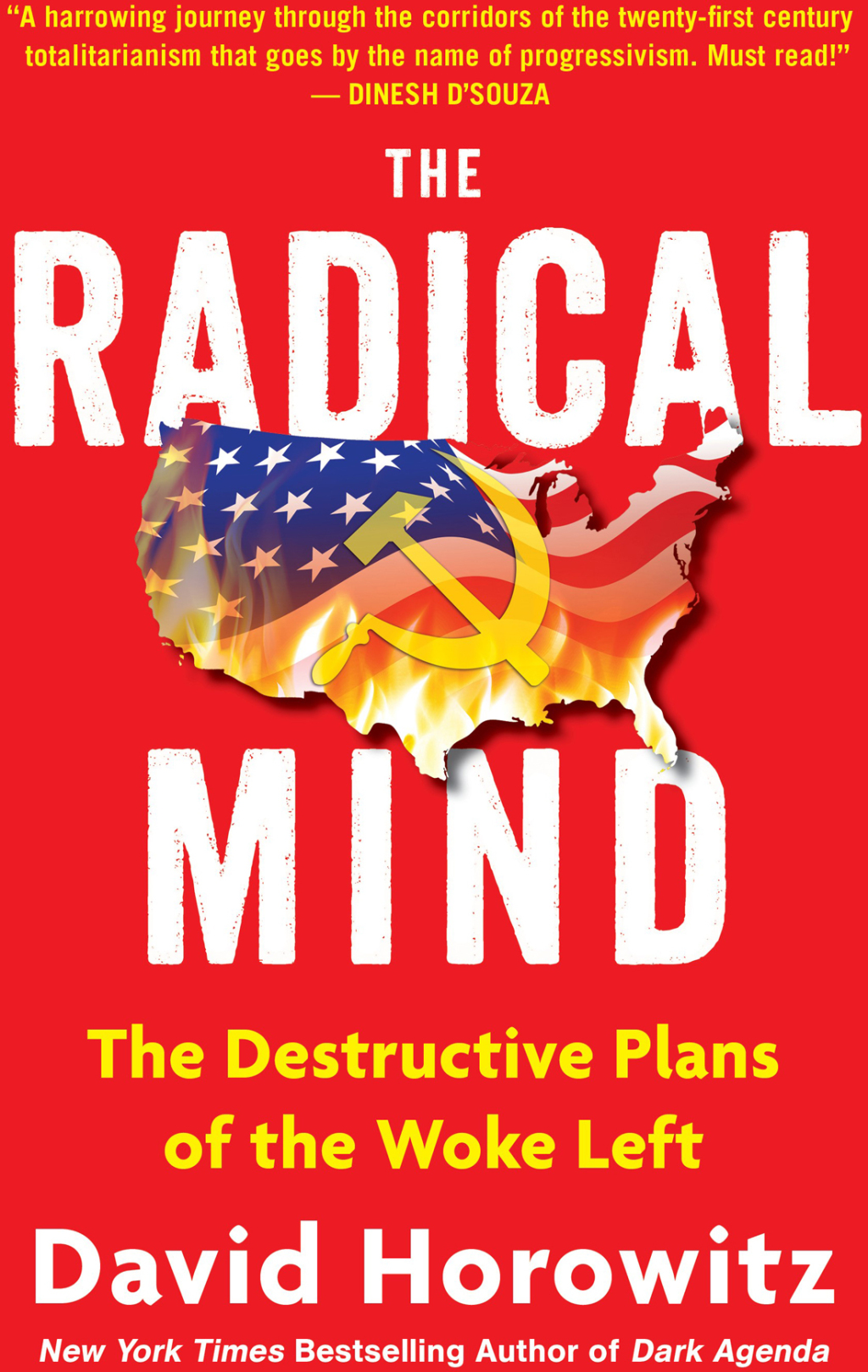 The Radical Mind The Destructive Plans of the Woke Left - (PDF/EPUB Version)
