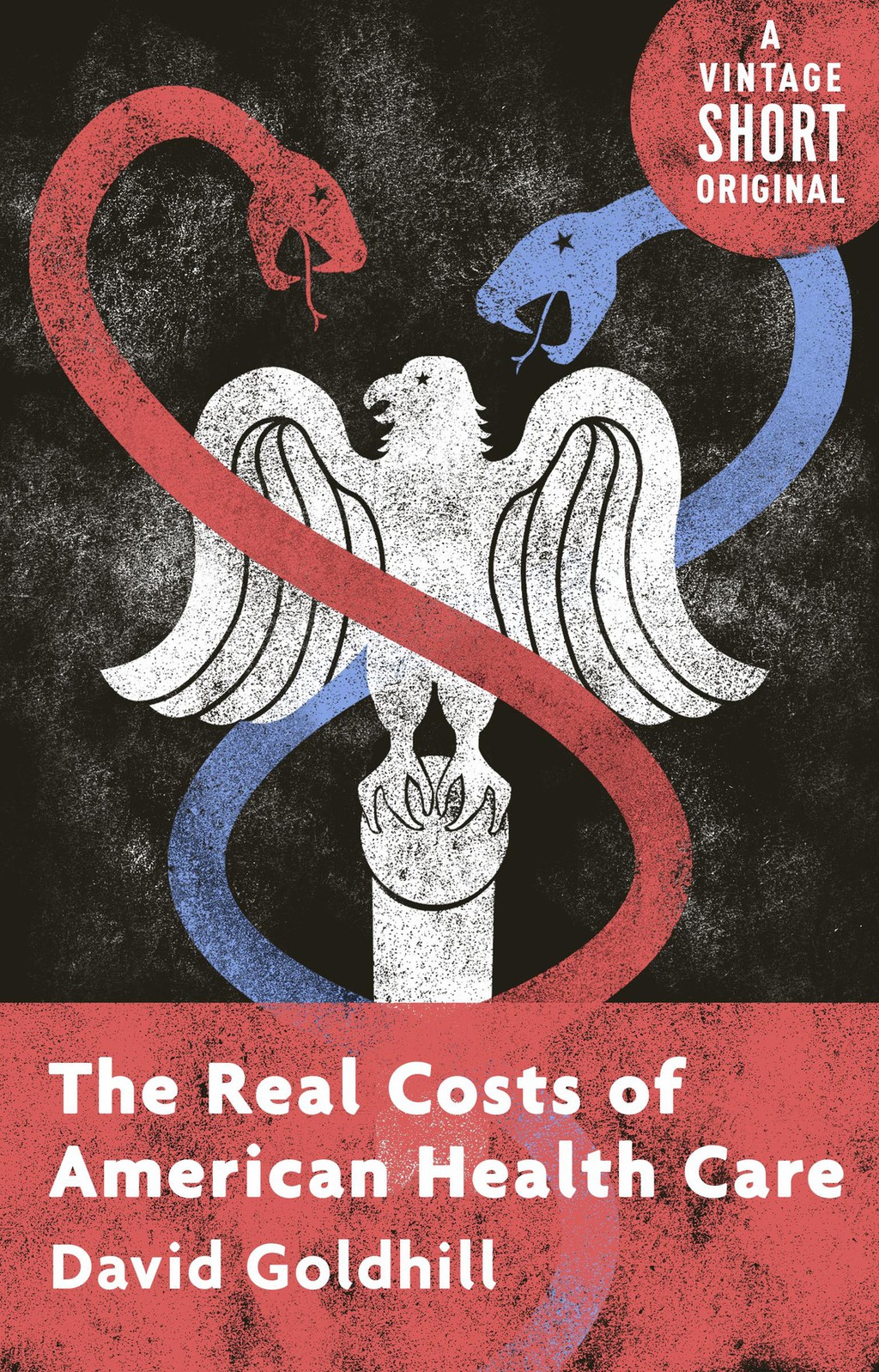 The Real Costs of American Health Care - (PDF/EPUB Version)