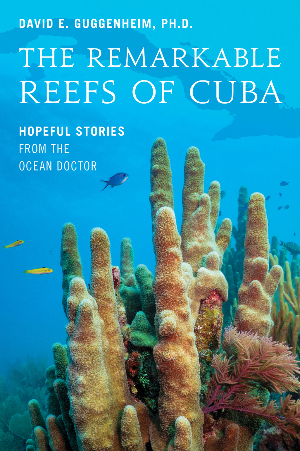 The Remarkable Reefs Of Cuba Hopeful Stories From the Ocean Doctor - (PDF/EPUB Version)