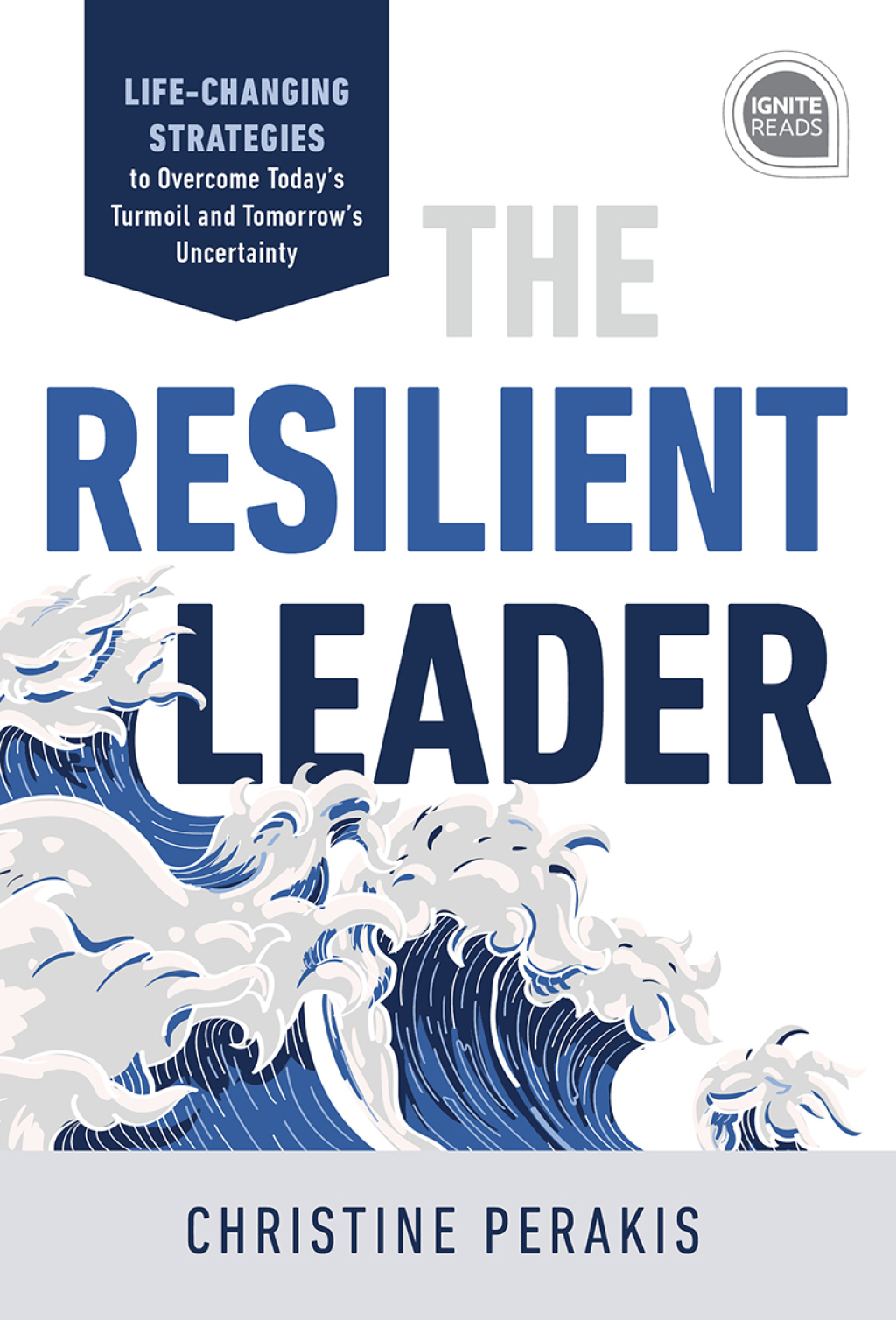The Resilient Leader Life Changing Strategies to Overcome Today's Turmoil and Tomorrow's Uncertainty - (PDF/EPUB Version)