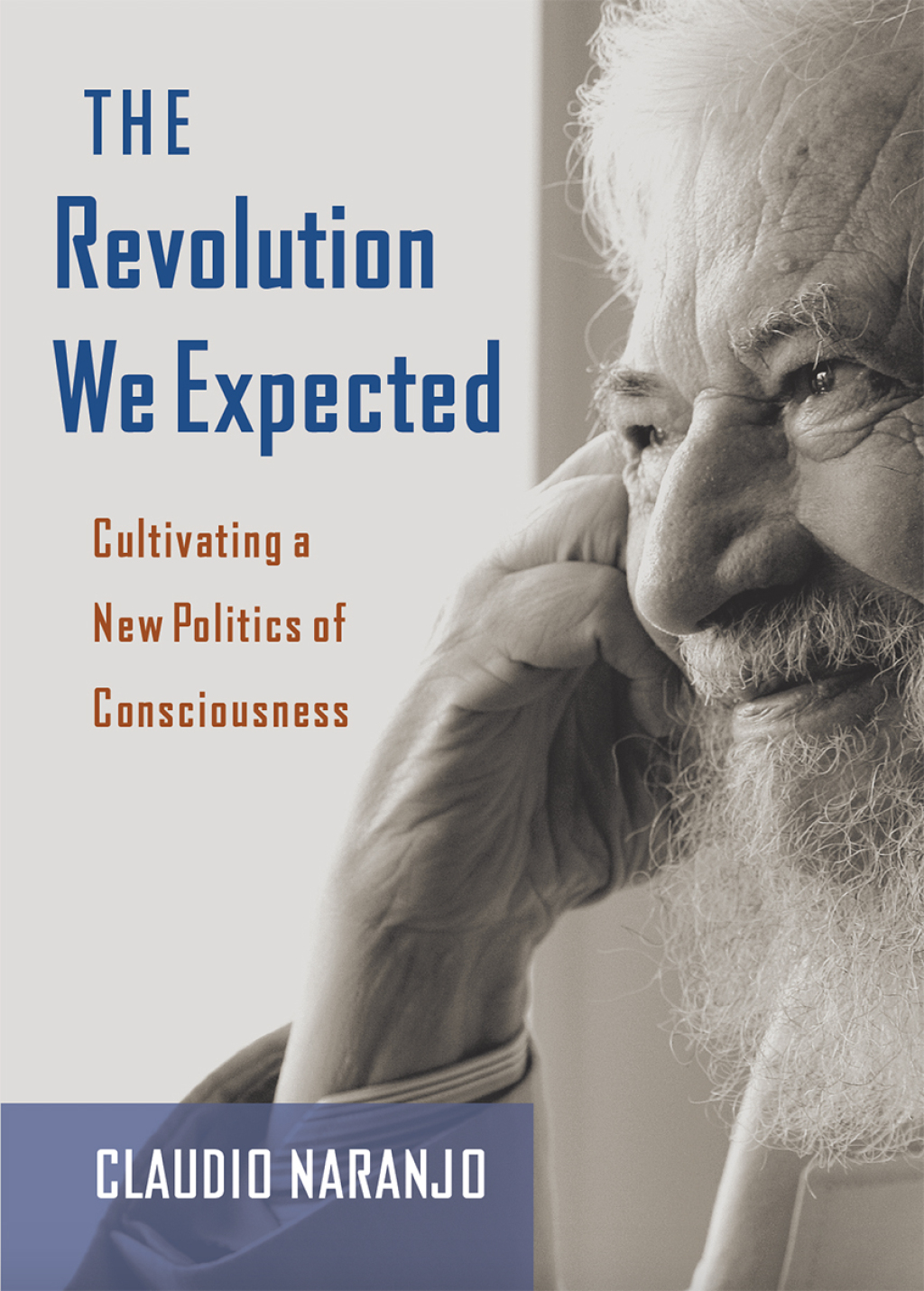 The Revolution We Expected Cultivating a New Politics of Consciousness - (PDF/EPUB Version)