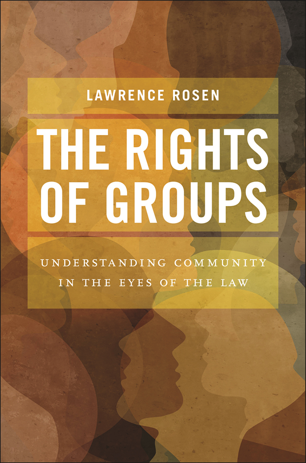 The Rights of Groups Understanding Community in the Eyes of the Law - (PDF/EPUB Version)