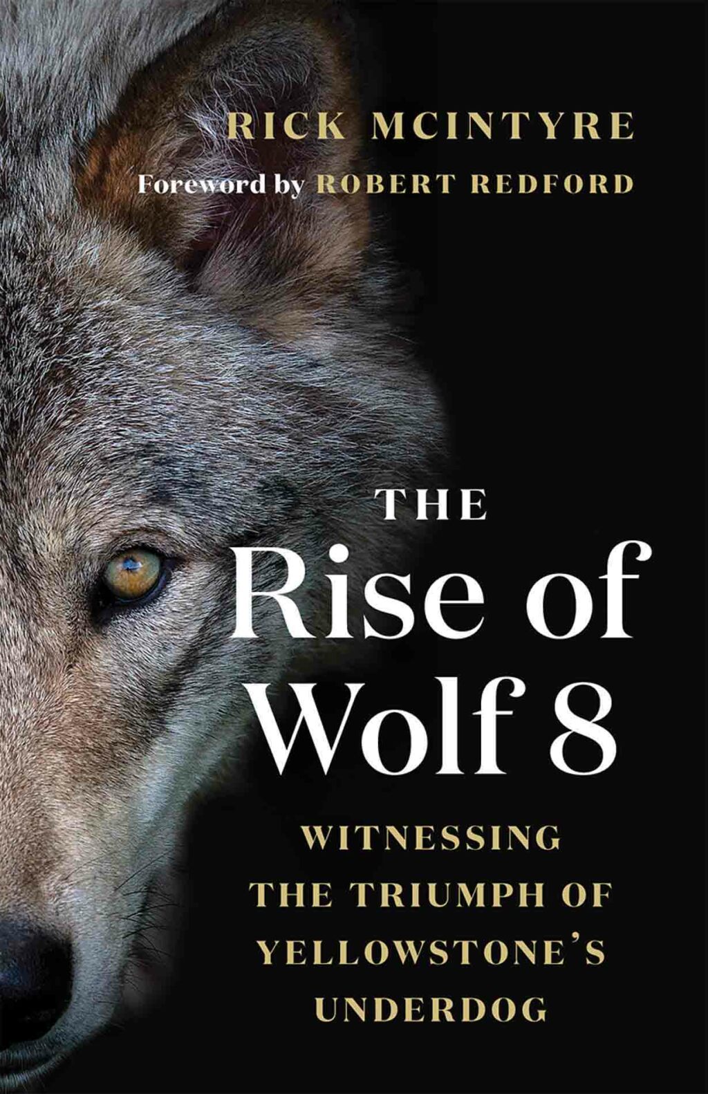 The Rise of Wolf 8 Witnessing the Triumph of Yellowstone's Underdog - (PDF/EPUB Version)