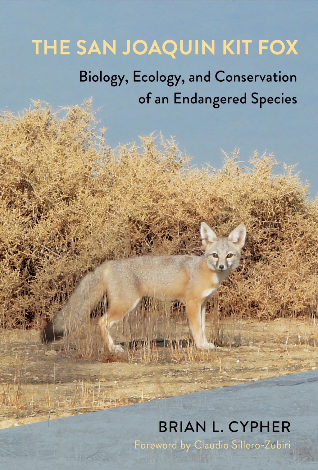 The San Joaquin Kit Fox Biology, Ecology, and Conservation of an Endangered Species - (PDF/EPUB Version)