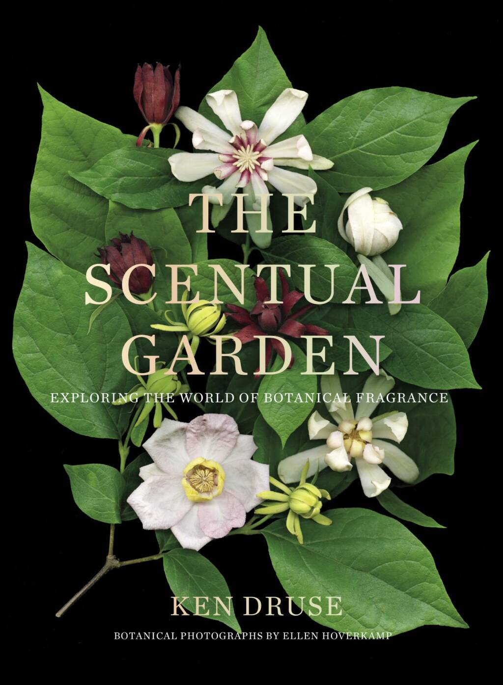 The Scentual Garden Exploring the World of Botanical Fragrance - (PDF/EPUB Version)