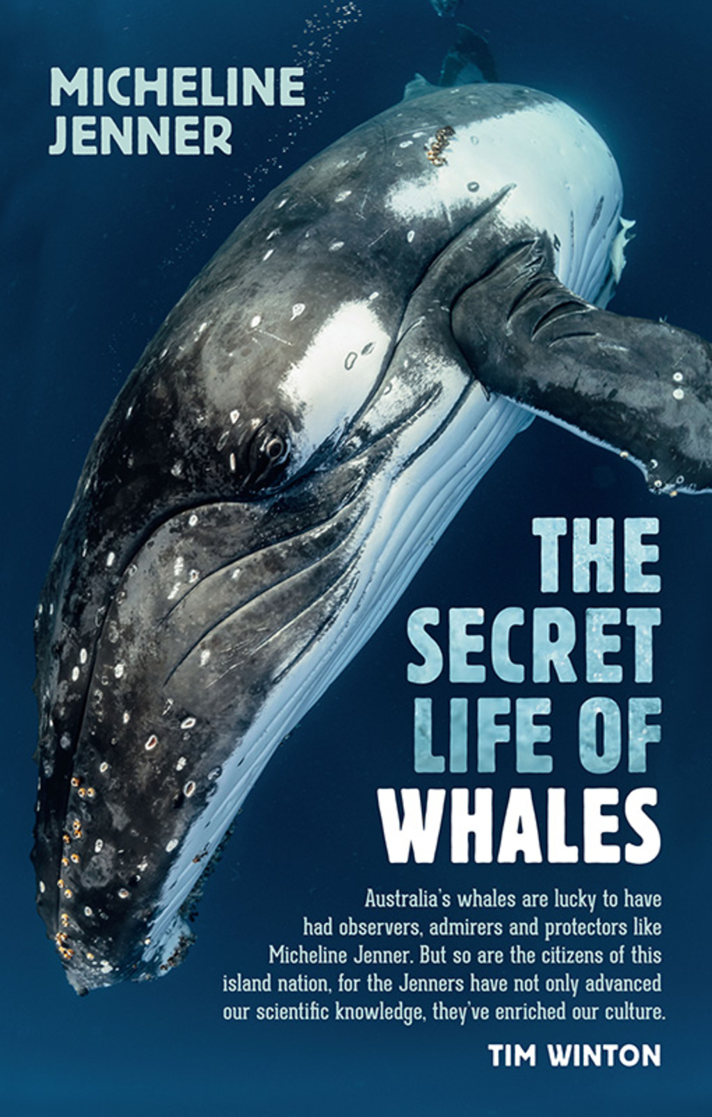 The Secret Life of Whales A Marine Biologist Reveals All 1st Edition - (PDF/EPUB Version)