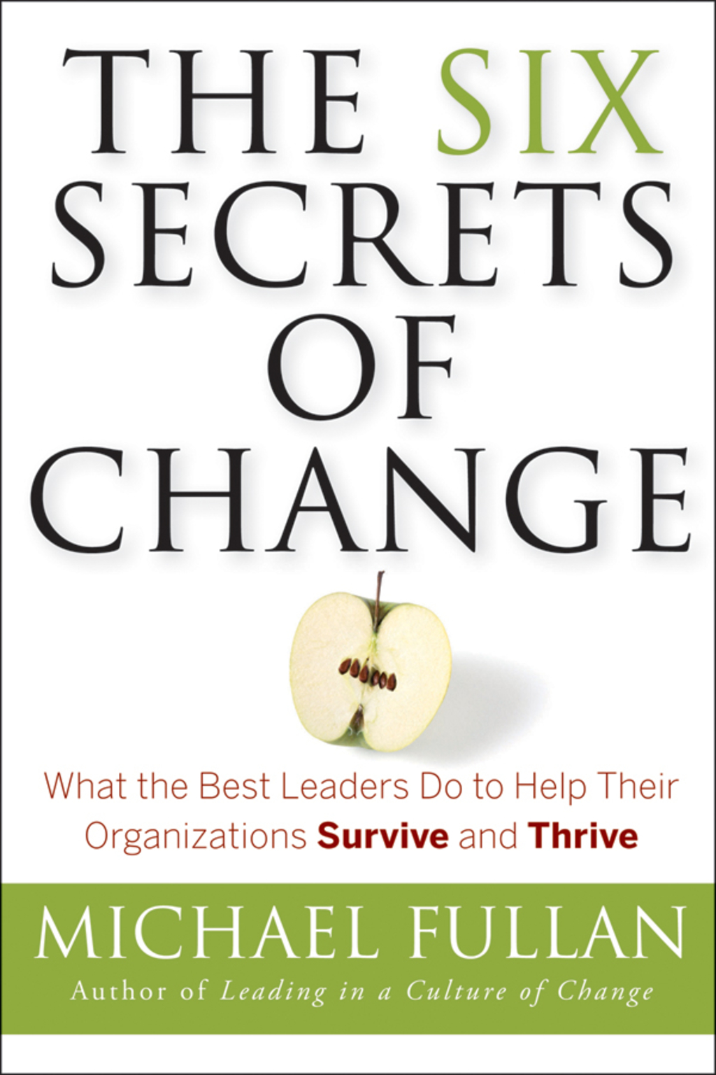The Six Secrets of Change: What the Best Leaders Do to Help Their Organizations Survive and Thrive 1st Edition - (PDF/EPUB Version)