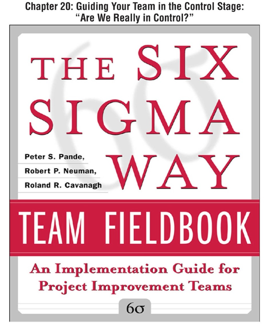 The Six Sigma Way Team Fieldbook, Chapter 20 - Guiding Your Team in the Control Stage "Are We Really in Control?" - (PDF/EPUB Version)