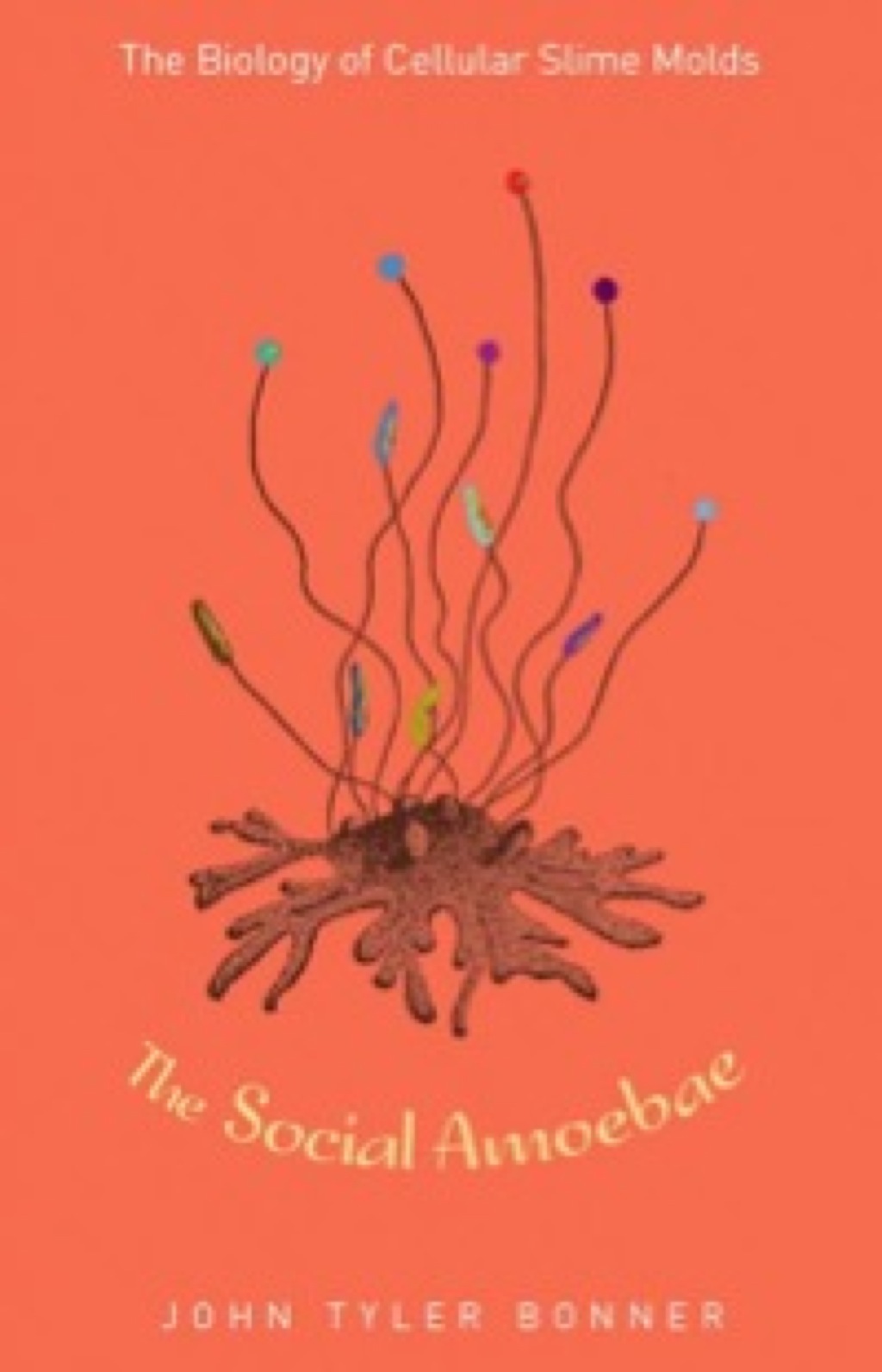 The Social Amoebae The Biology of Cellular Slime Molds - (PDF/EPUB Version)