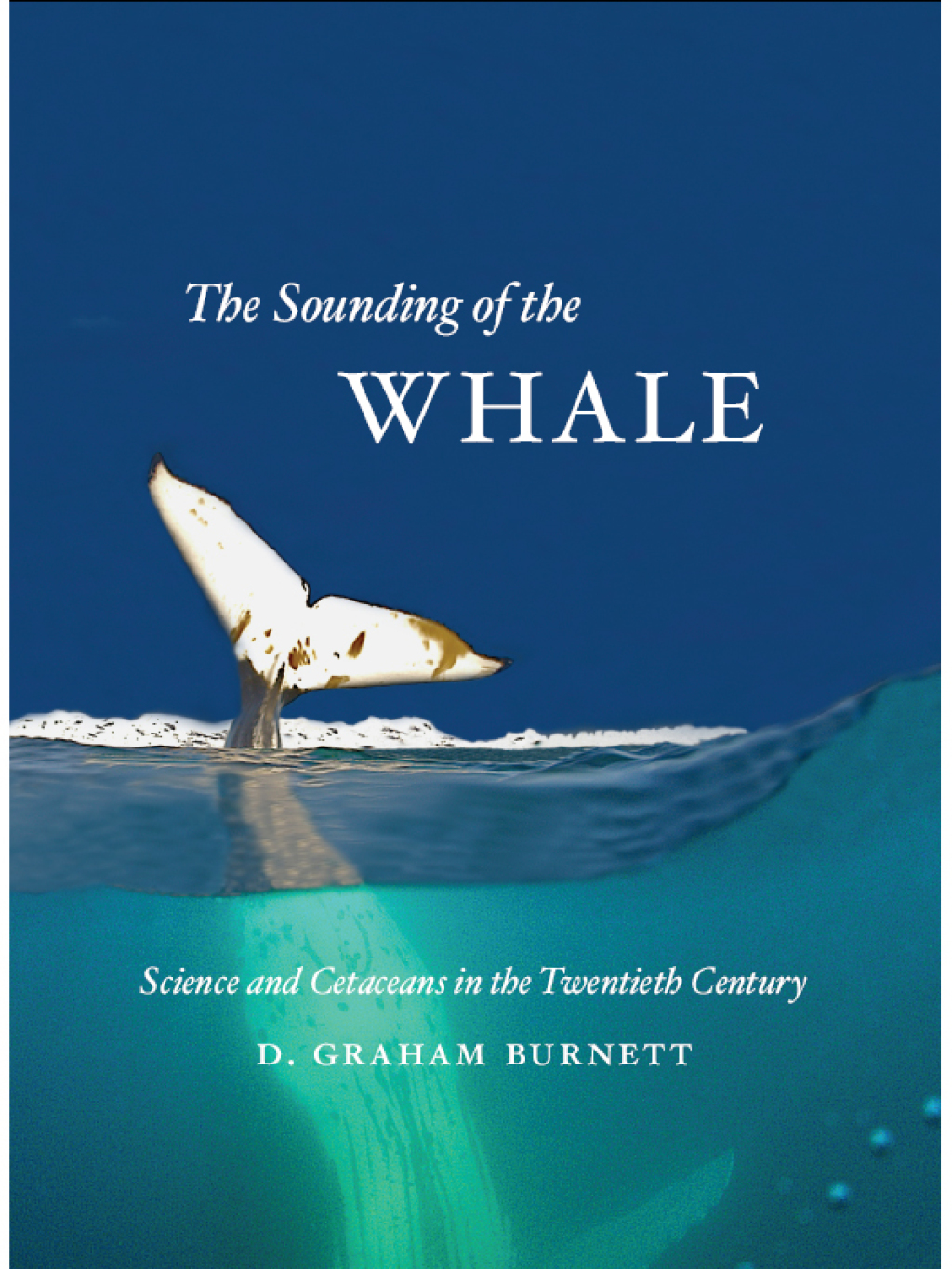 The Sounding of the Whale Science and Cetaceans in the Twentieth Century 1st Edition - (PDF/EPUB Version)