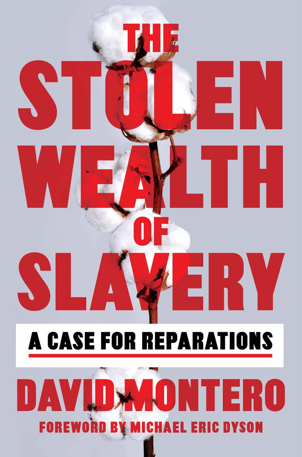 The Stolen Wealth of Slavery A Case for Reparations - (PDF/EPUB Version)