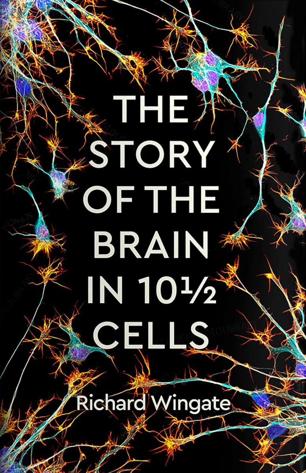 The Story of the Brain in 10Â½ Cells - (PDF/EPUB Version)