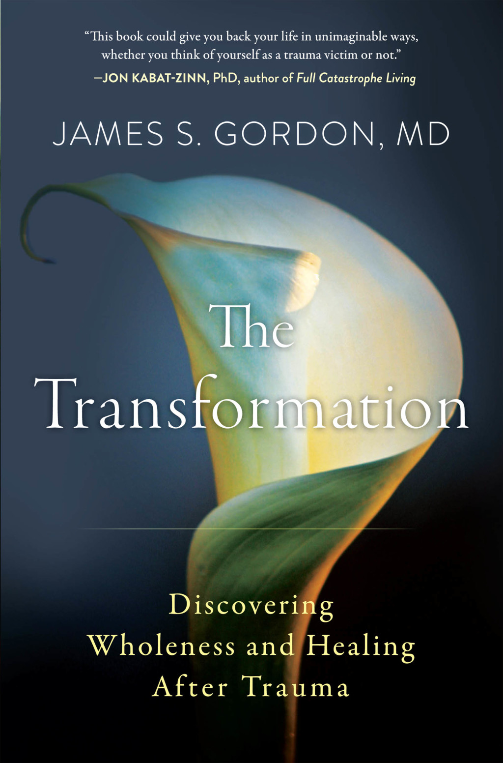The Transformation Discovering Wholeness and Healing After Trauma - (PDF/EPUB Version)