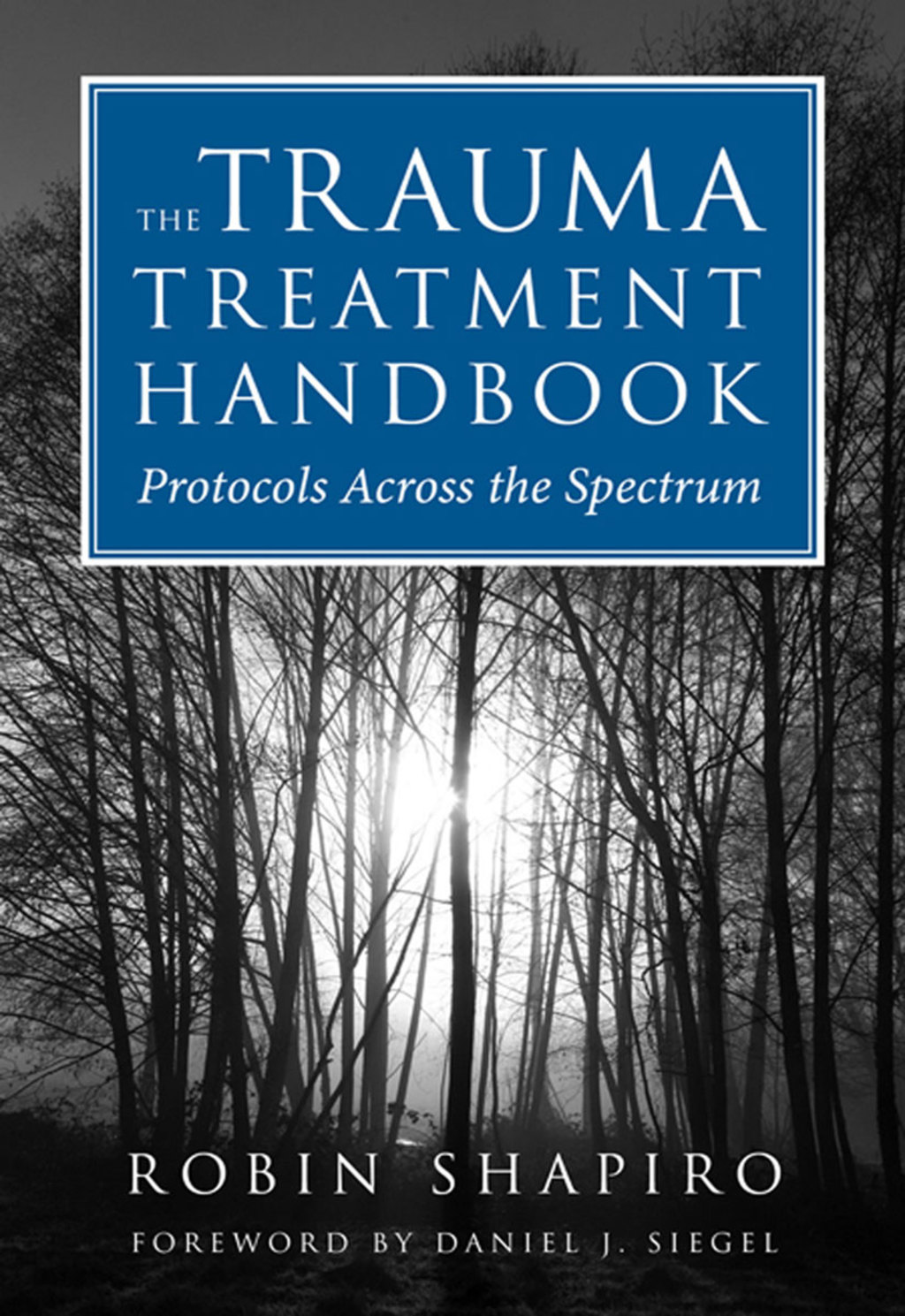 The Trauma Treatment Handbook: Protocols Across the Spectrum - (PDF/EPUB Version)