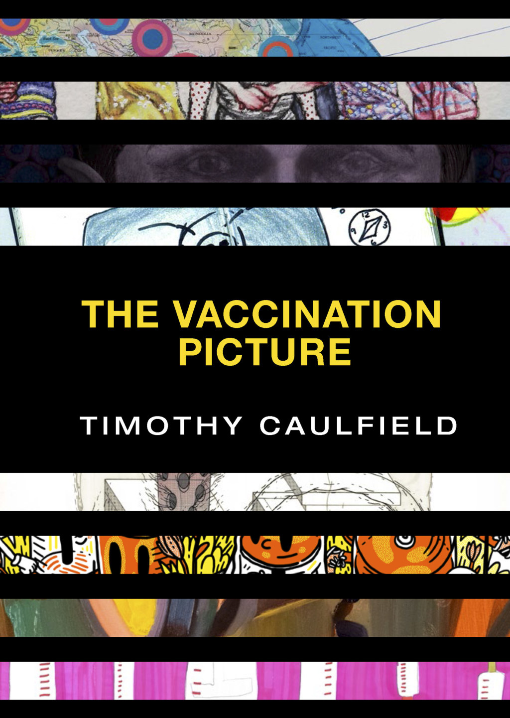 The Vaccination Picture - (PDF/EPUB Version)