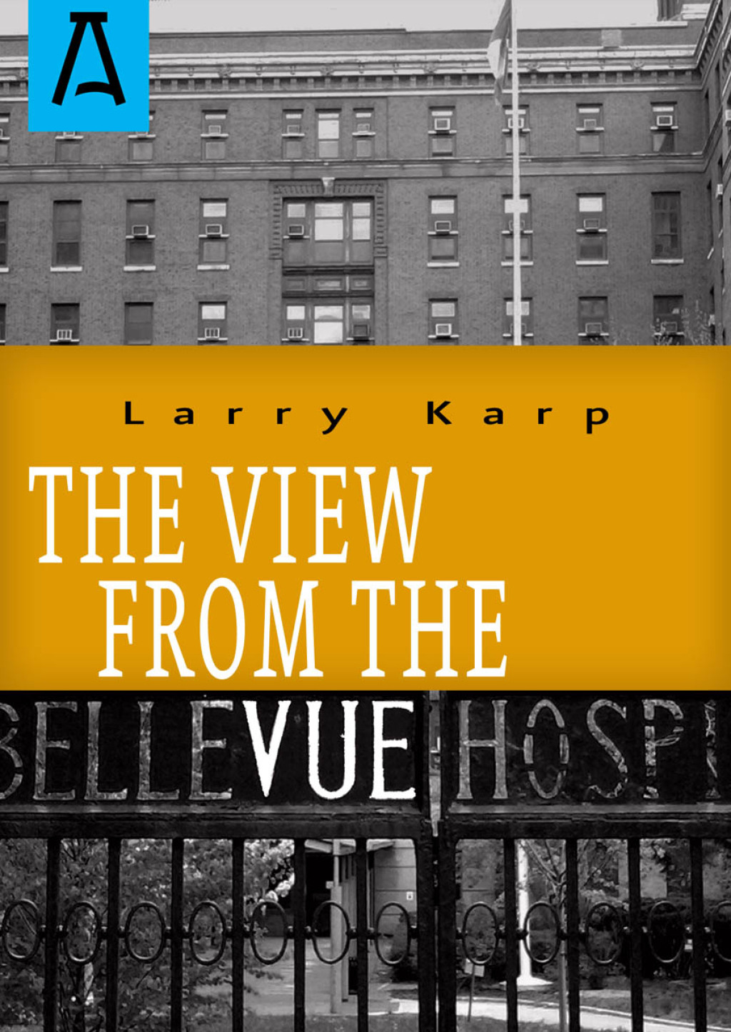 The View from the Vue - (PDF/EPUB Version)