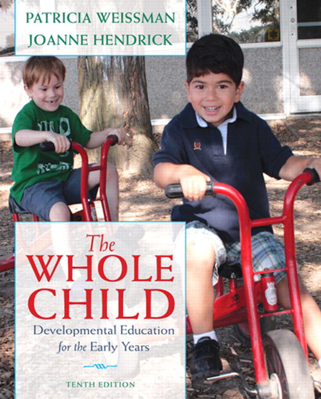 The Whole Child: Developmental Education for the Early Years 10th Edition â€“ PDF/EPUB Version Downloadable