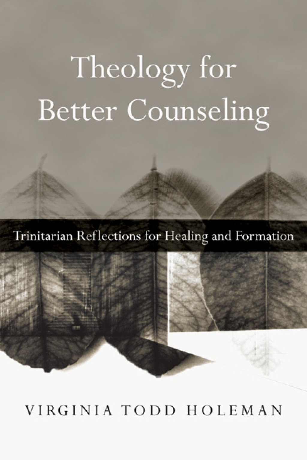 Theology for Better Counseling Trinitarian Reflections for Healing and Formation - (PDF/EPUB Version)