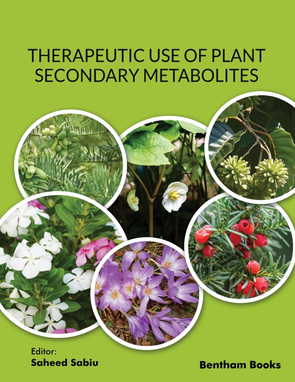 Therapeutic Use of Plant Secondary Metabolites 1st Edition â€“ PDF/EPUB ...
