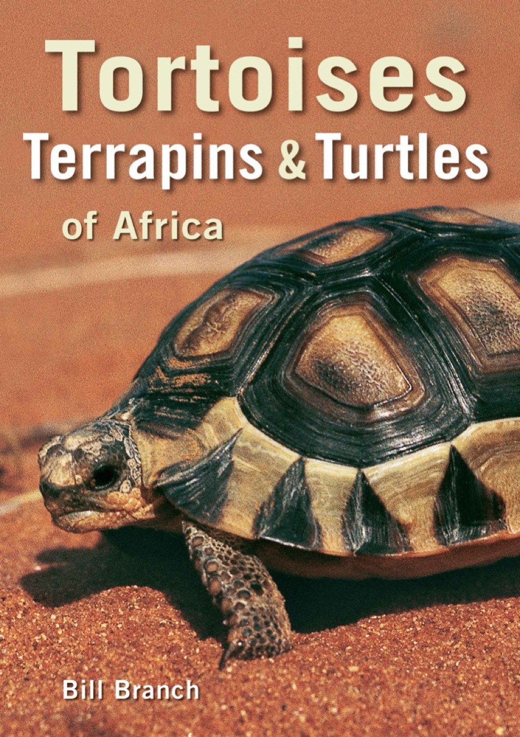 Tortoises, Terrapins & Turtles of Africa 1st Edition - (PDF/EPUB Version)