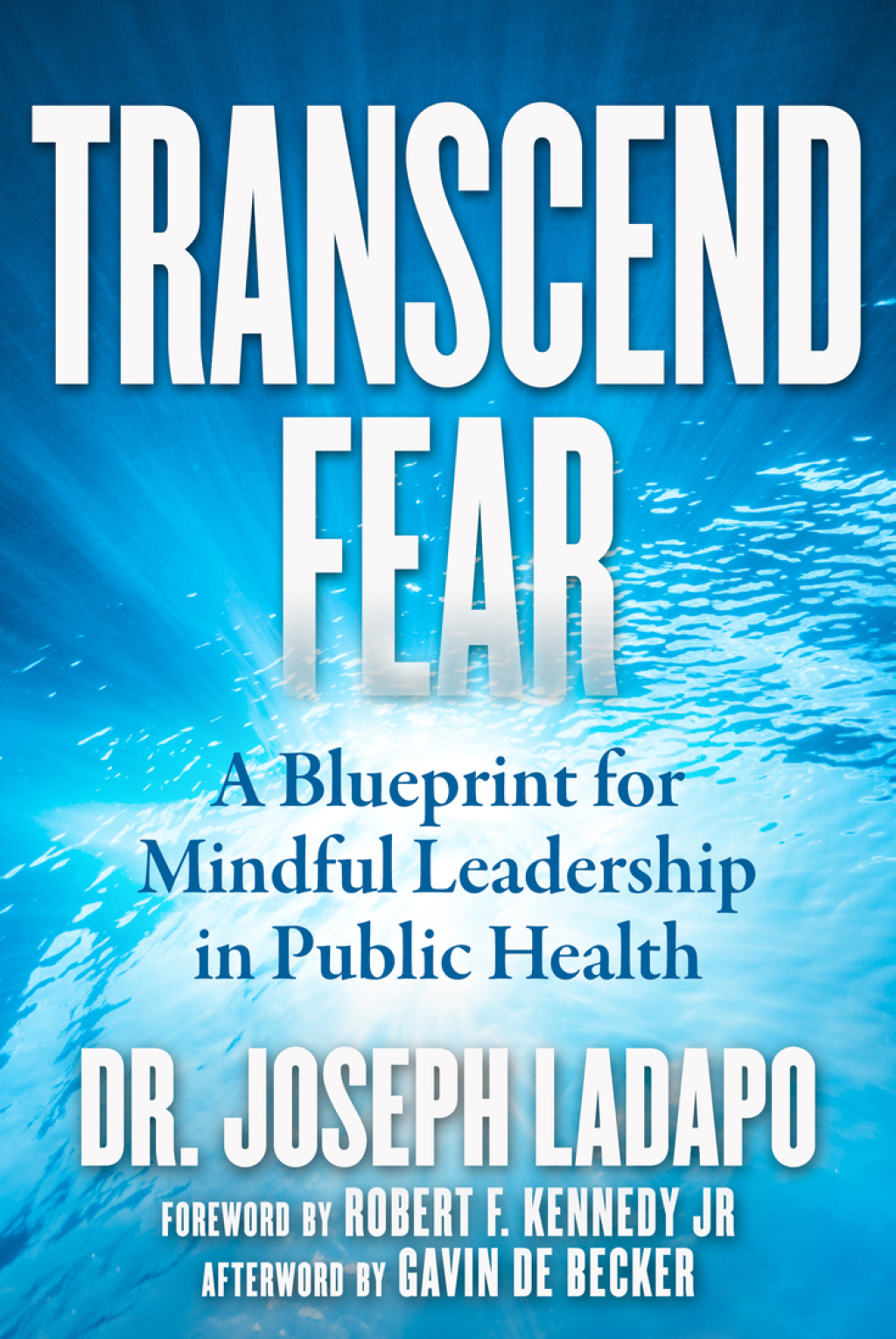 Transcend Fear A Blueprint for Mindful Leadership in Public Health - (PDF/EPUB Version)